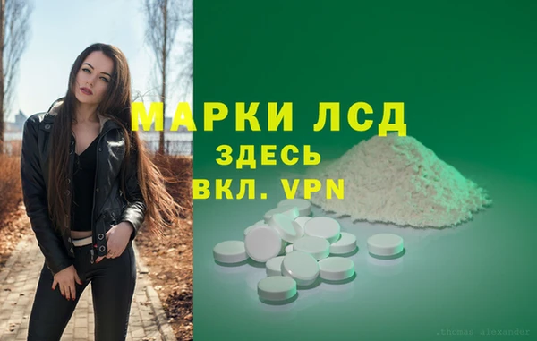 прущие грибы Протвино