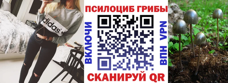 Псилоцибиновые грибы Magic Shrooms  Владикавказ 