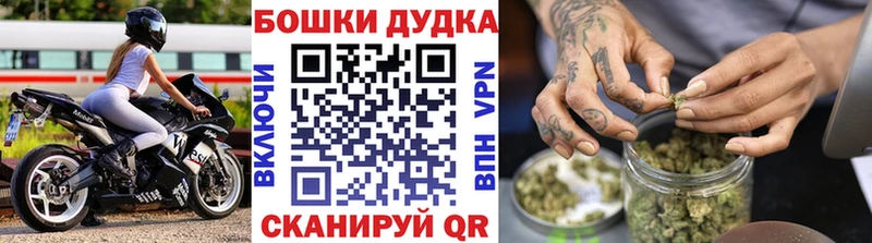 где продают наркотики  MEGA рабочий сайт  Бошки Шишки семена  Владикавказ 